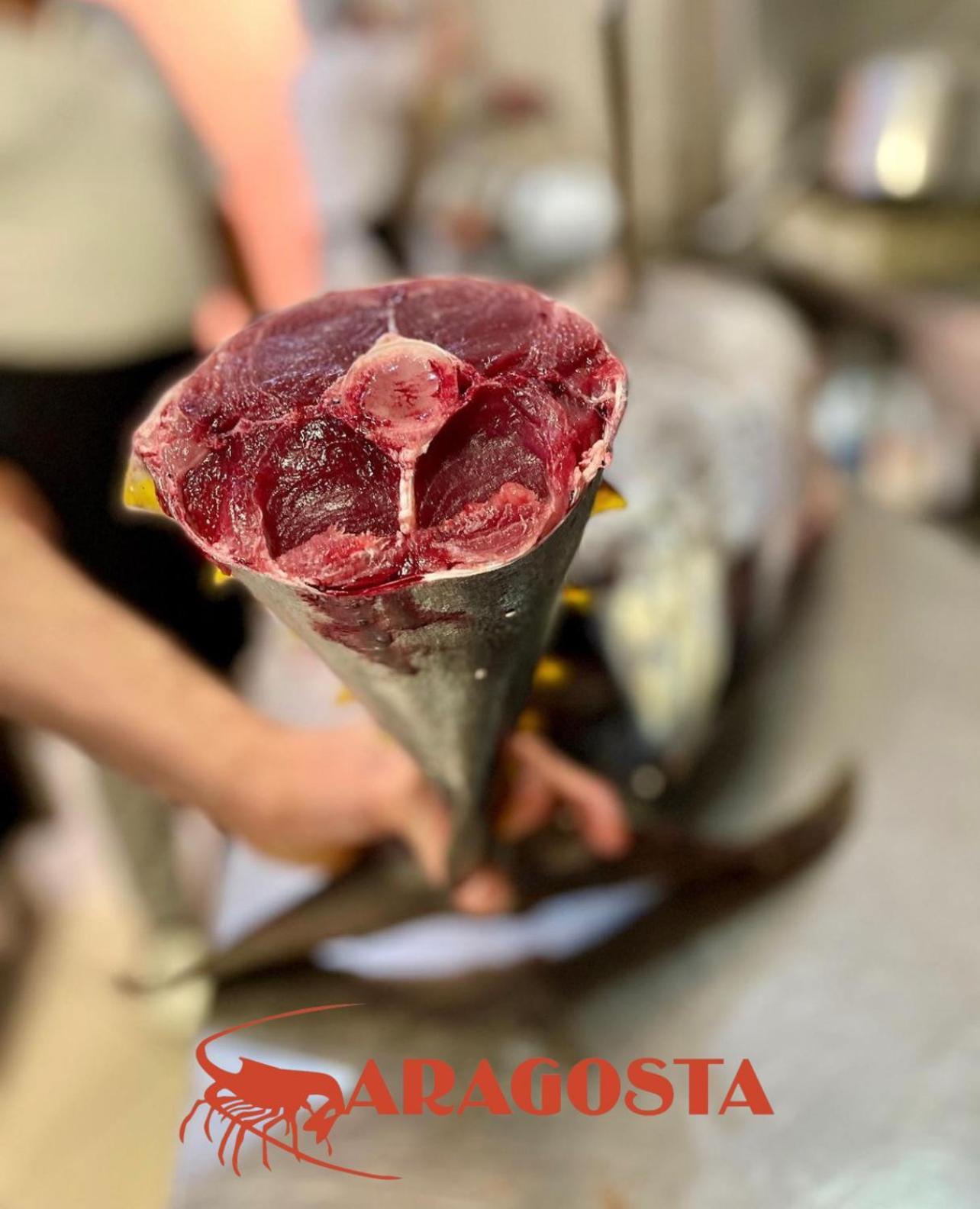 Aragosta